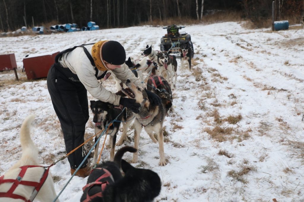 Eureka, Alaska Huskies