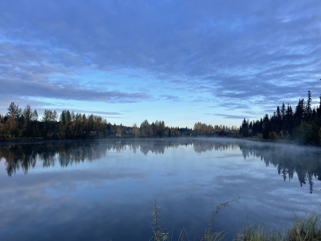 Fall in Fairbanks Alaska at Trail Breaker Kennel