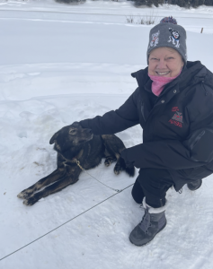 Woman playing with alaskan husky in Fairbanks during winter tour.