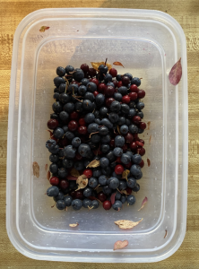 Fresh Picked Alaskan Berries.