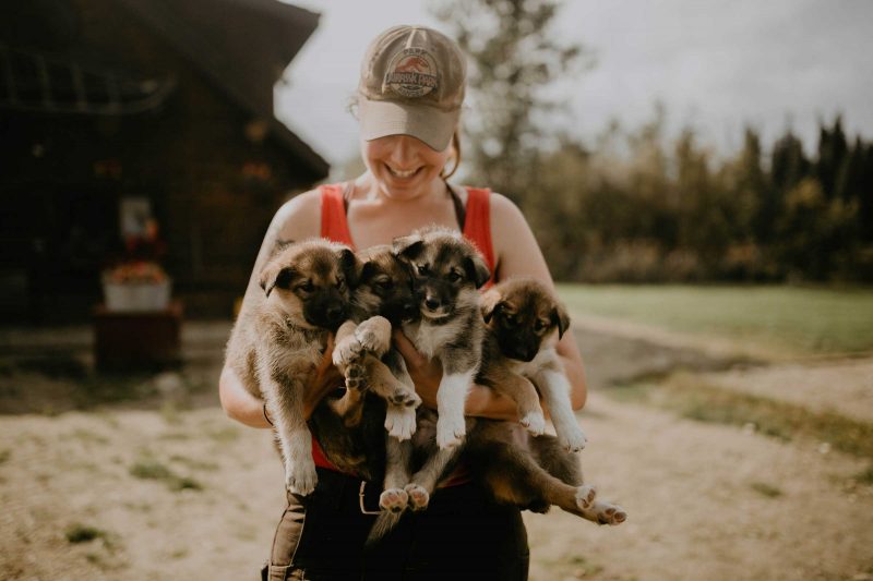 Trail Breaker Kennel Puppies with Woman