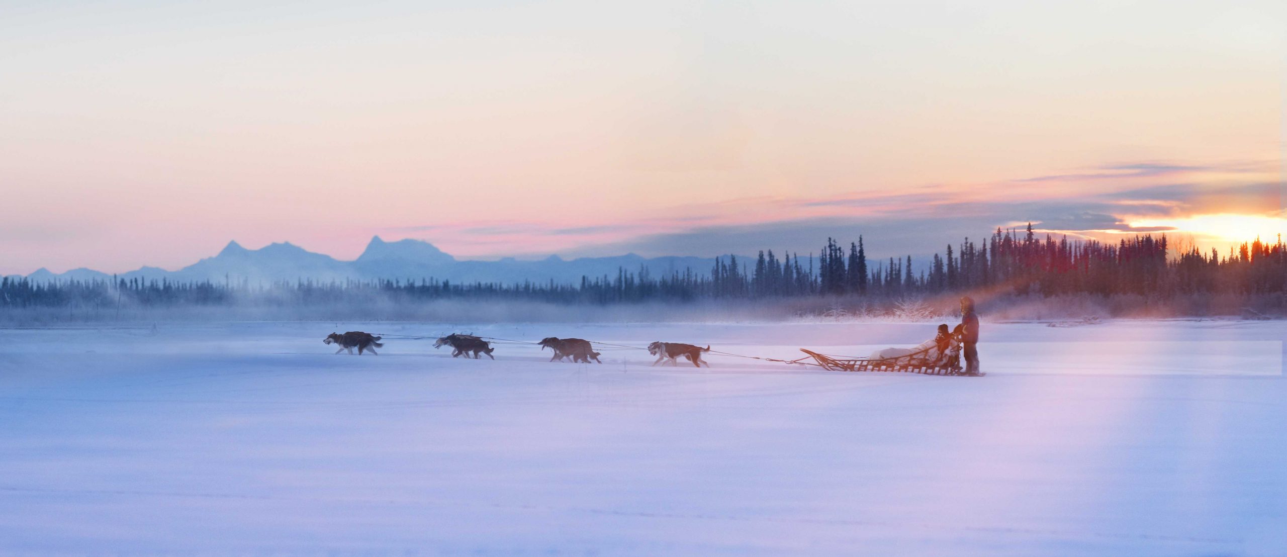 Winter Cover Updated