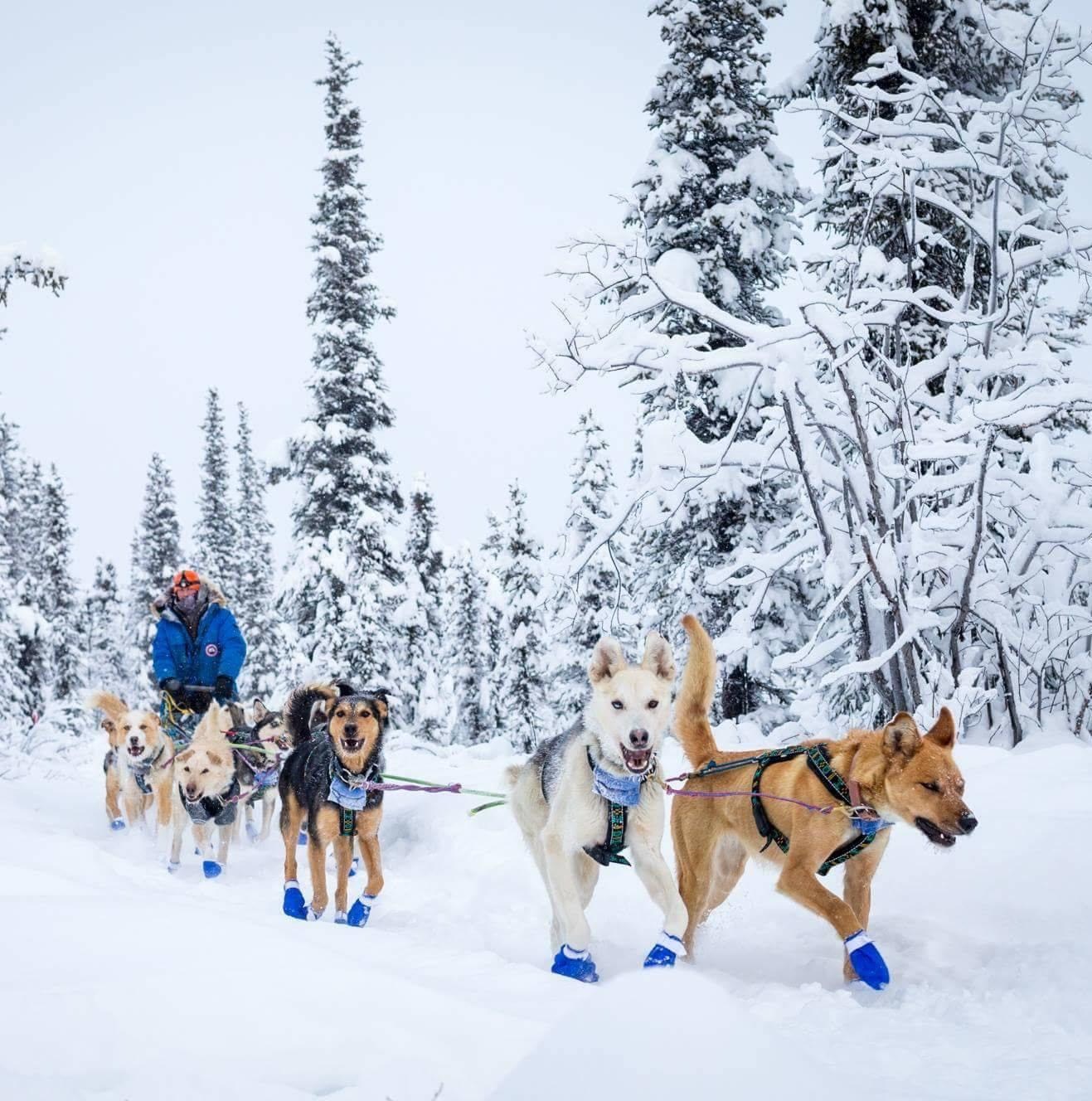 Riley Copper Basin 300