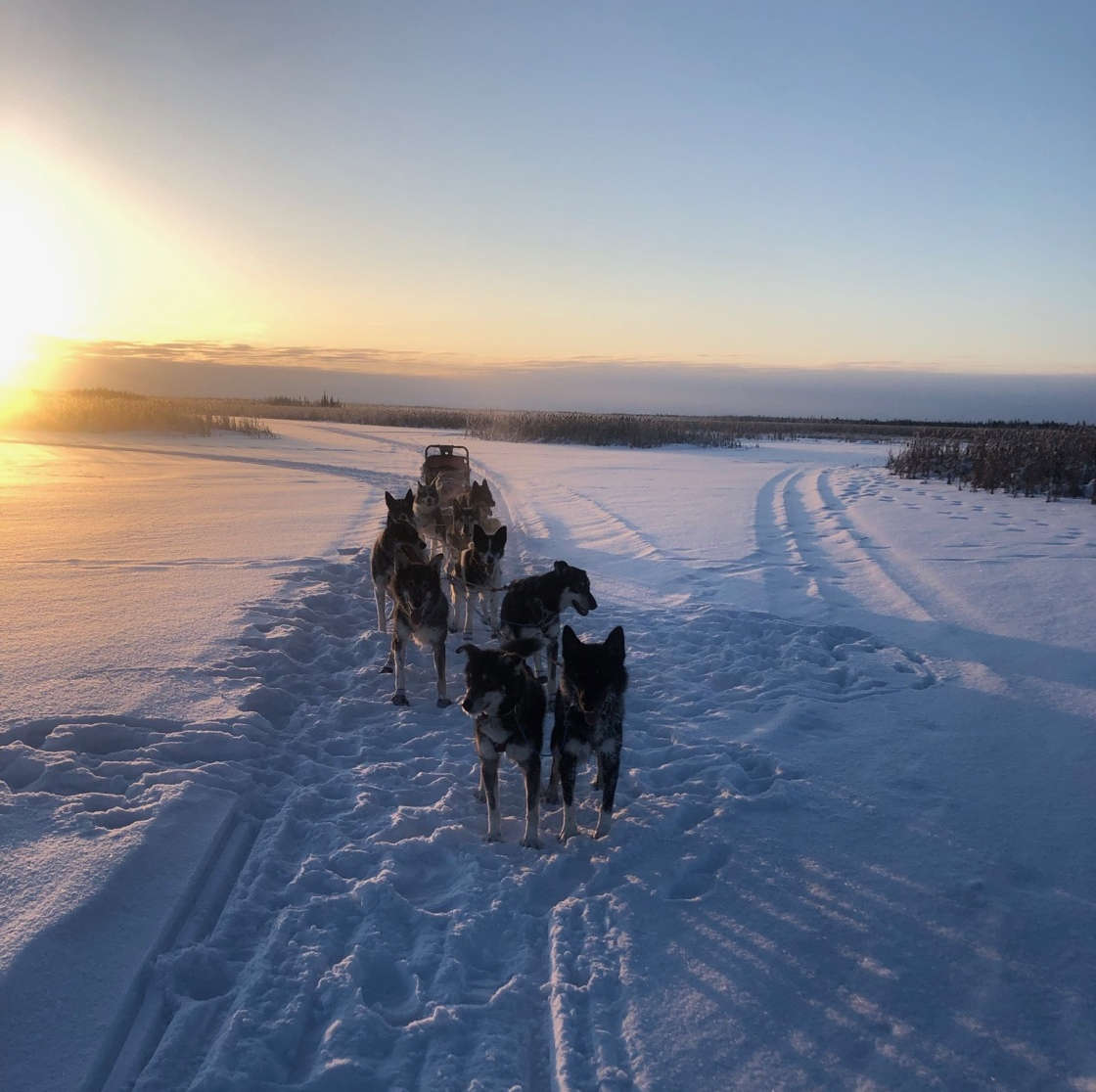 Sled Dogs Mushing on Tana River