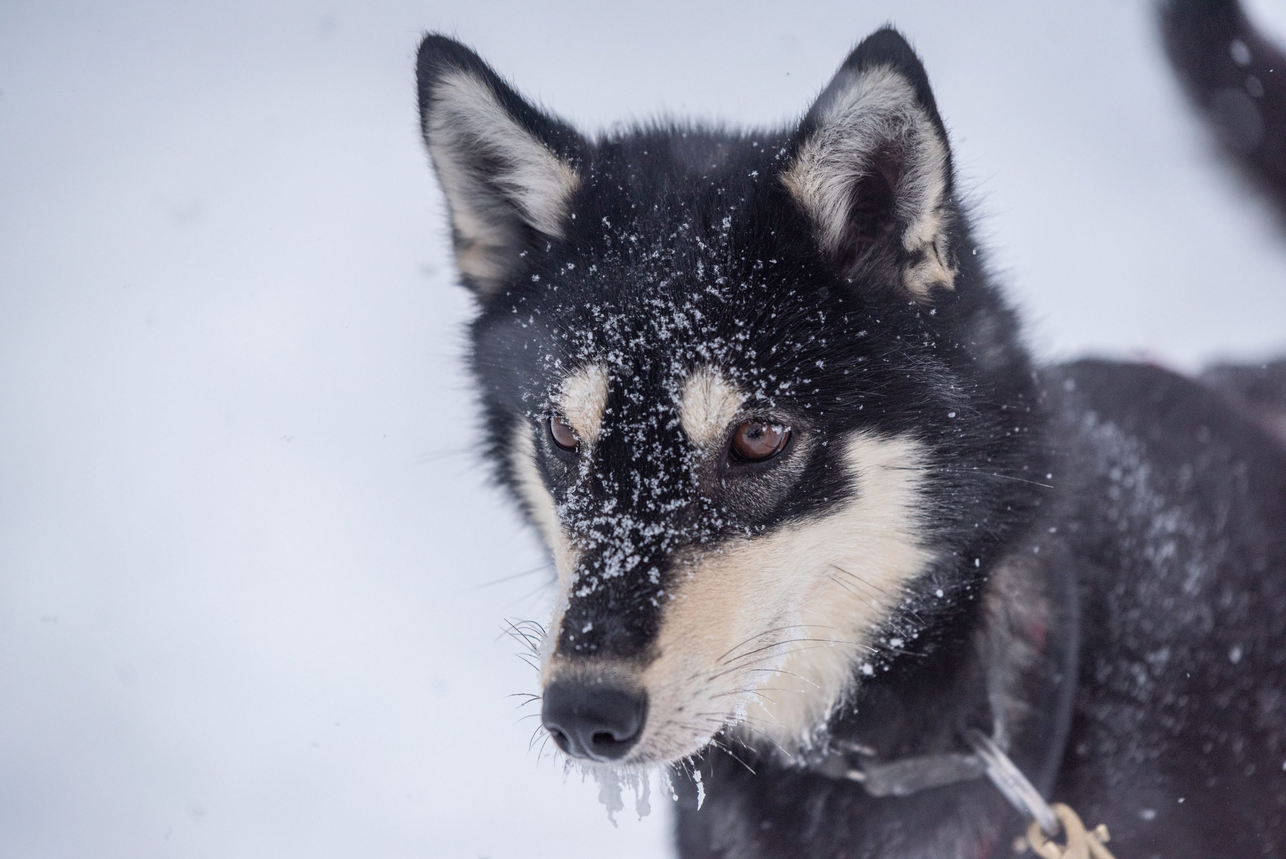 ©whitneymclaren 6709