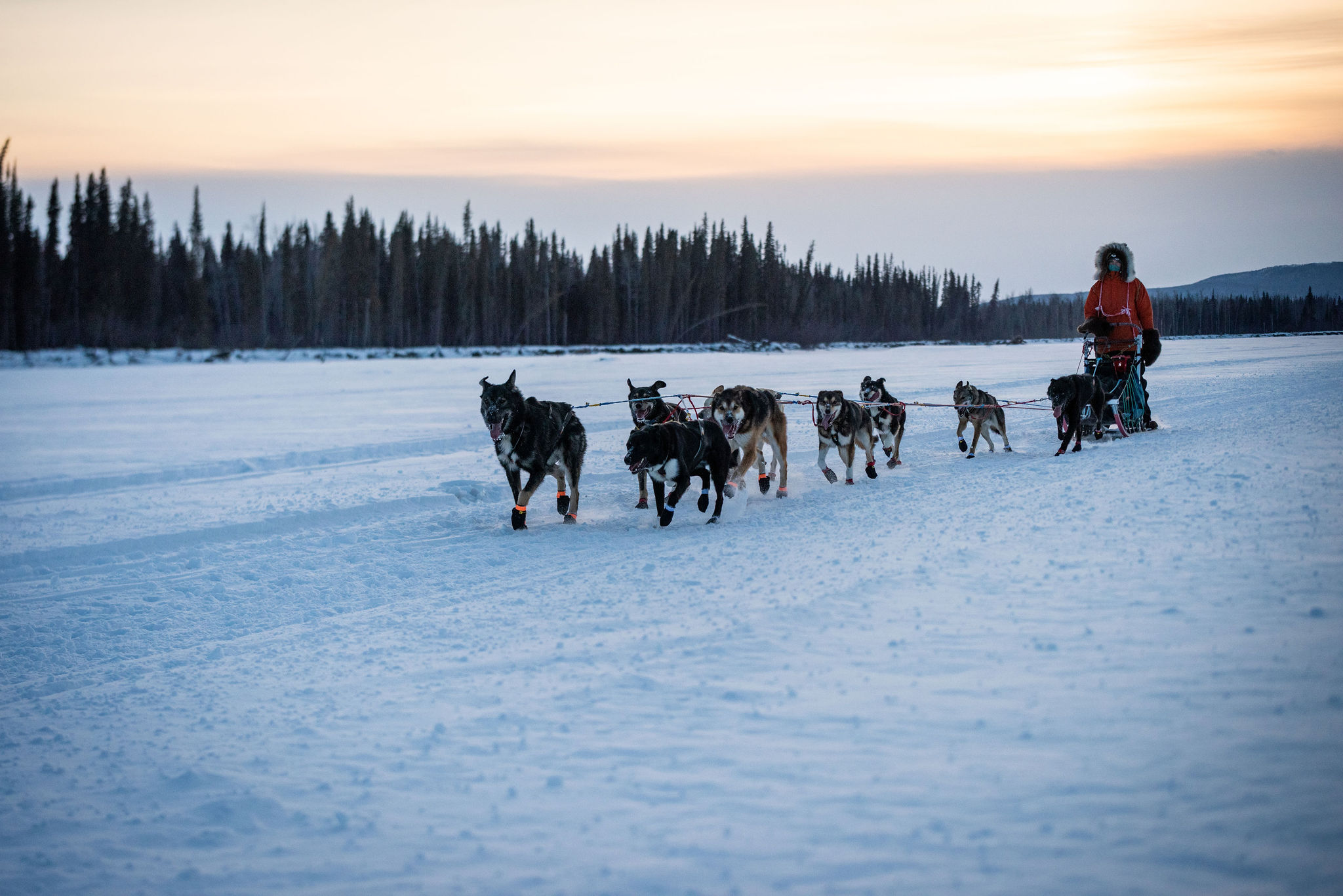 ©whitneymclaren 2023 Tdog 4827